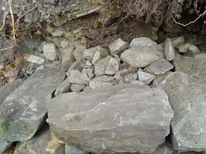 グリ石とノミ石
