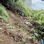 作業日誌（鉄筋柵の補強と防風垣の手入れ）